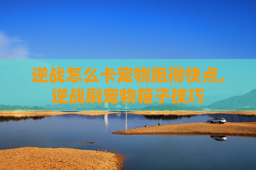 逆战怎么卡宠物跑得快点,逆战刷宠物箱子技巧