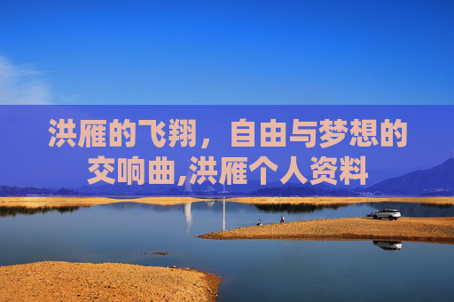 洪雁的飞翔，自由与梦想的交响曲,洪雁个人资料
