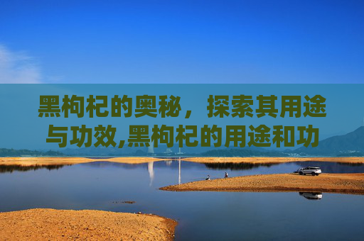 黑枸杞的奥秘，探索其用途与功效,黑枸杞的用途和功效与作用