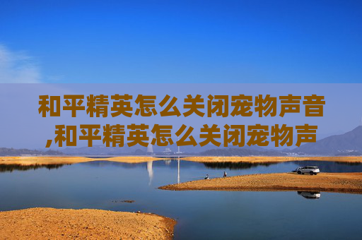 和平精英怎么关闭宠物声音,和平精英怎么关闭宠物声音提示