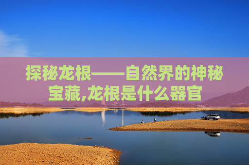 探秘龙根——自然界的神秘宝藏,龙根是什么器官
