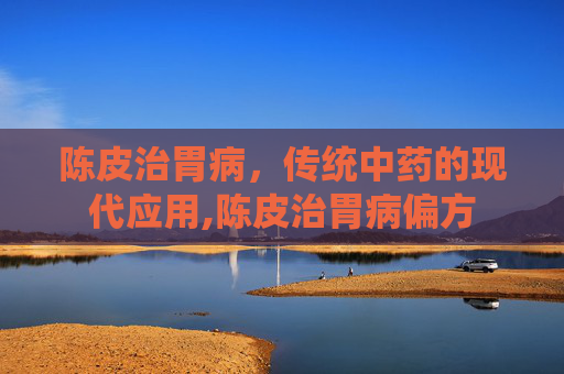 陈皮治胃病，传统中药的现代应用,陈皮治胃病偏方
