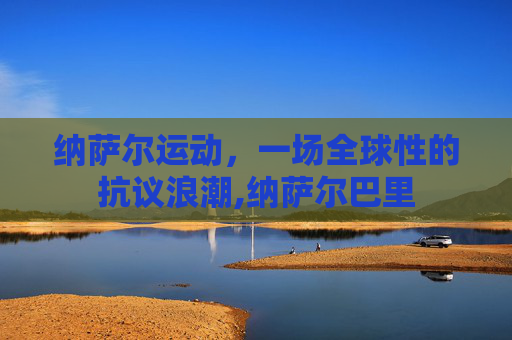 纳萨尔运动，一场全球性的抗议浪潮,纳萨尔巴里