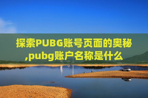 探索PUBG账号页面的奥秘,pubg账户名称是什么 探索PUBG账号页面的奥秘,pubg账户名称是什么