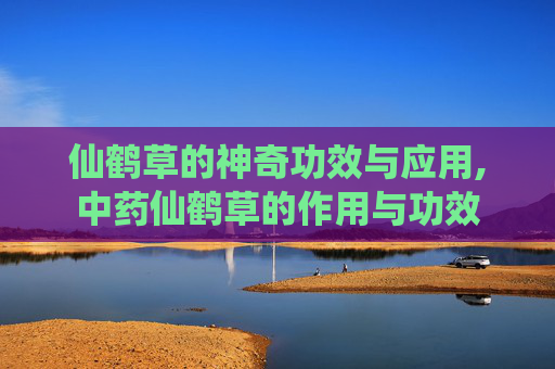 仙鹤草的神奇功效与应用,中药仙鹤草的作用与功效