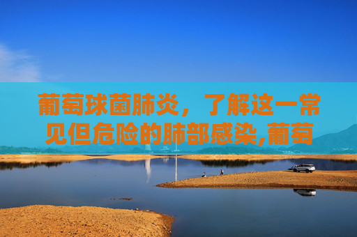 葡萄球菌肺炎,了解这一常见但危险的肺部感染,葡萄球菌肺炎首选抗生素 葡萄球菌肺炎,了解这一常见但危险的肺部感染,葡萄球菌肺炎首选抗生素