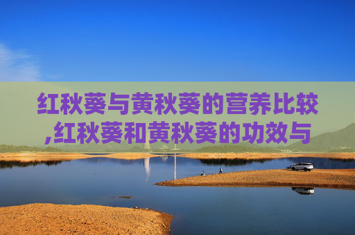 红秋葵与黄秋葵的营养比较,红秋葵和黄秋葵的功效与作用