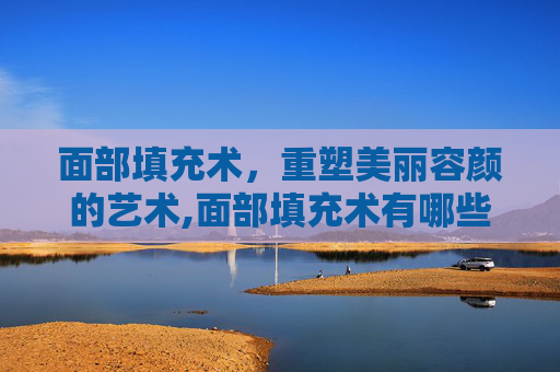 面部填充术，重塑美丽容颜的艺术,面部填充术有哪些方法