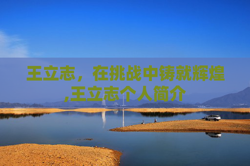 王立志，在挑战中铸就辉煌,王立志个人简介