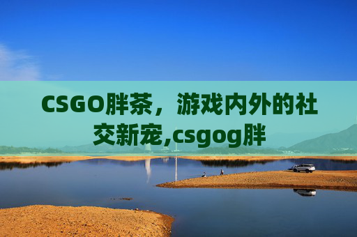 CSGO胖茶，游戏内外的社交新宠,csgog胖