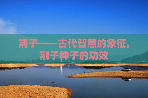 荆子——古代智慧的象征,荆子种子的功效 荆子——古代智慧的象征,荆子种子的功效