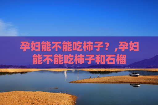 孕妇能不能吃柿子？,孕妇能不能吃柿子和石榴