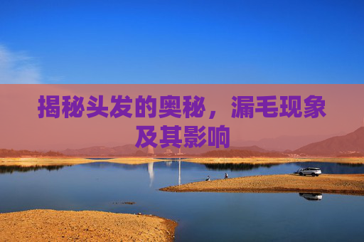 揭秘头发的奥秘，漏毛现象及其影响