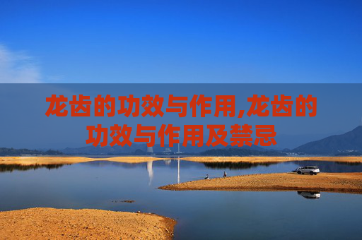 龙齿的功效与作用,龙齿的功效与作用及禁忌
