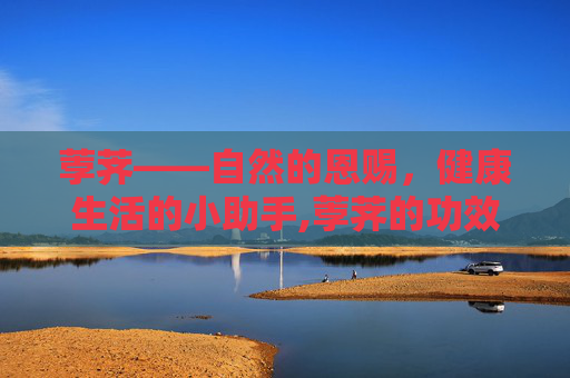 荸荠——自然的恩赐，健康生活的小助手,荸荠的功效与作用禁忌和食用方法