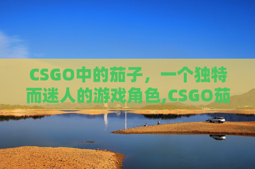 CSGO中的茄子，一个独特而迷人的游戏角色,CSGO茄子