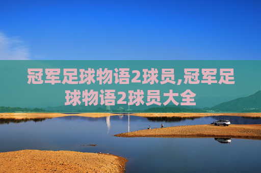 冠军足球物语2球员,冠军足球物语2球员大全