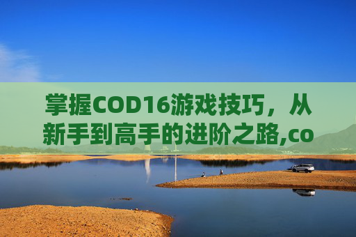 掌握COD16游戏技巧，从新手到高手的进阶之路,cod16怎么样