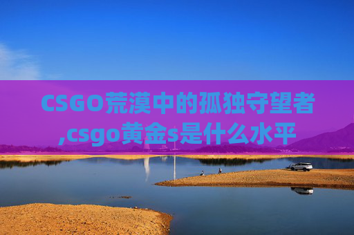 CSGO荒漠中的孤独守望者,csgo黄金s是什么水平