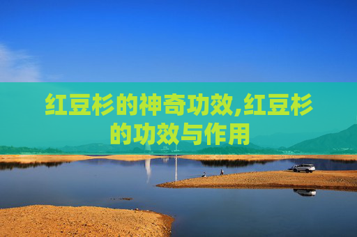 红豆杉的神奇功效,红豆杉的功效与作用 红豆杉的神奇功效,红豆杉的功效与作用