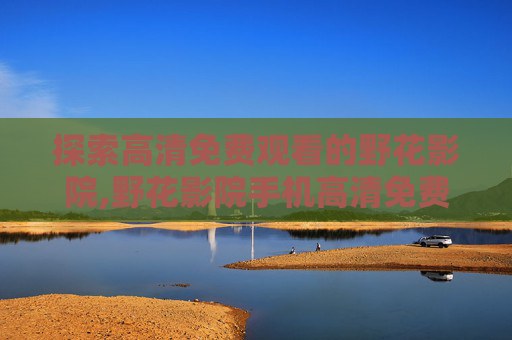 探索高清免费观看的野花影院,野花影院手机高清免费观看网站