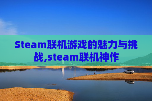 Steam联机游戏的魅力与挑战,steam联机神作
