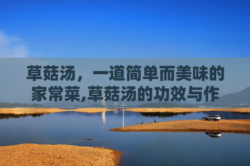 草菇汤，一道简单而美味的家常菜,草菇汤的功效与作用