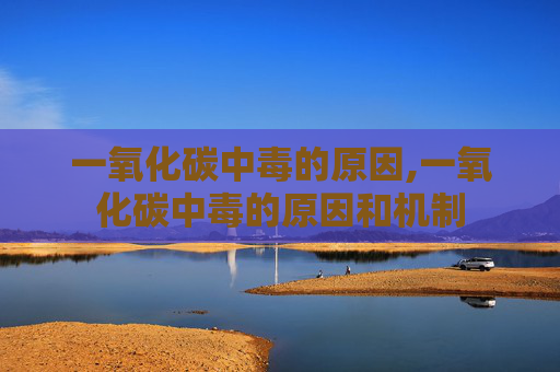 一氧化碳中毒的原因,一氧化碳中毒的原因和机制