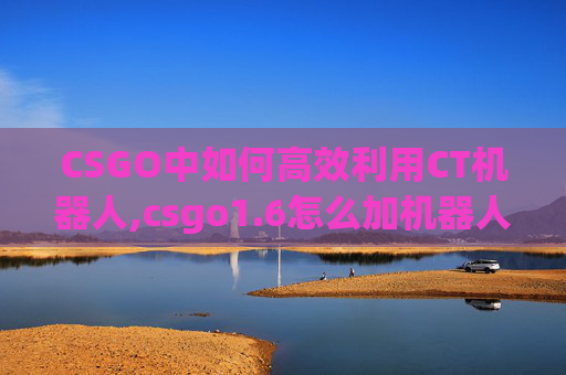 CSGO中如何高效利用CT机器人,csgo1.6怎么加机器人