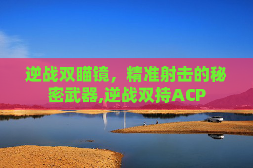 逆战双瞄镜，精准射击的秘密武器,逆战双持ACP