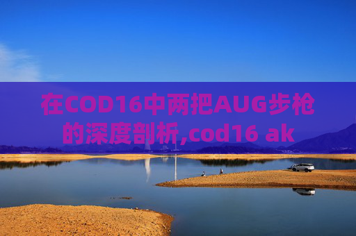 在COD16中两把AUG步枪的深度剖析,cod16 ak