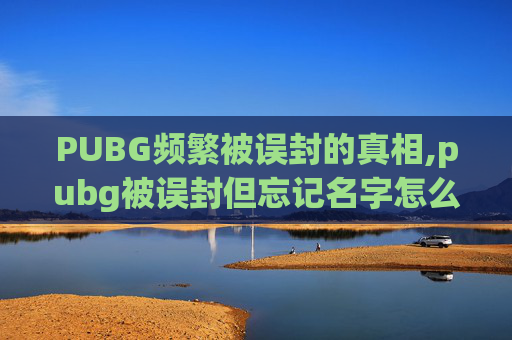 PUBG频繁被误封的真相,pubg被误封但忘记名字怎么办