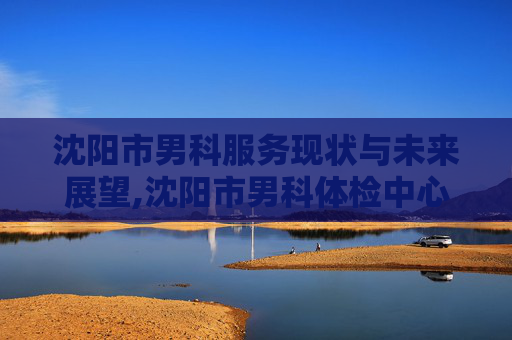 沈阳市男科服务现状与未来展望,沈阳市男科体检中心
