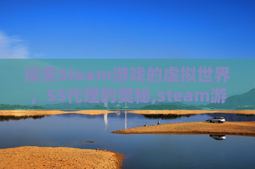 探索Steam游戏的虚拟世界，SS代理的奥秘,steam游戏代理售卖