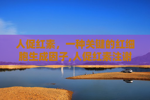 人促红素,一种关键的红细胞生成因子,人促红素注谢液作用 人促红素,一种关键的红细胞生成因子,人促红素注谢液作用