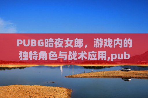 PUBG暗夜女郎,游戏内的独特角色与战术应用,pubg暗夜追踪者手套 PUBG暗夜女郎,游戏内的独特角色与战术应用,pubg暗夜追踪者手套