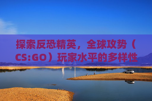 探索反恐精英，全球攻势（CS:GO）玩家水平的多样性,csgo相当于什么水平