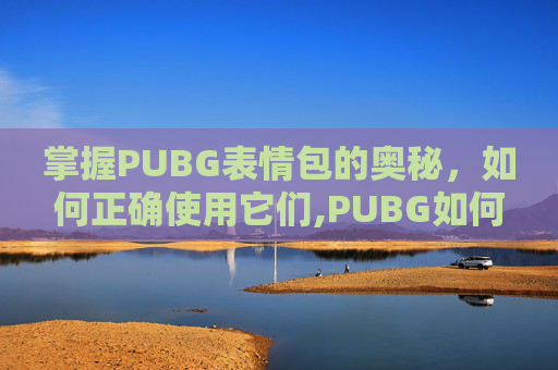 掌握PUBG表情包的奥秘，如何正确使用它们,PUBG如何用表情