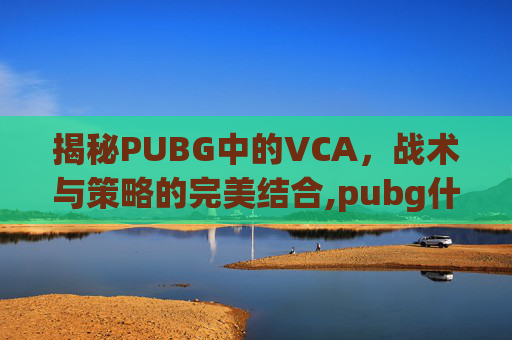 揭秘PUBG中的VCA，战术与策略的完美结合,pubg什么是一段号