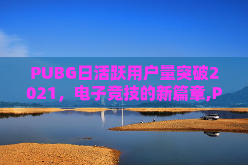 PUBG日活跃用户量突破2021，电子竞技的新篇章,PUBG日活最高