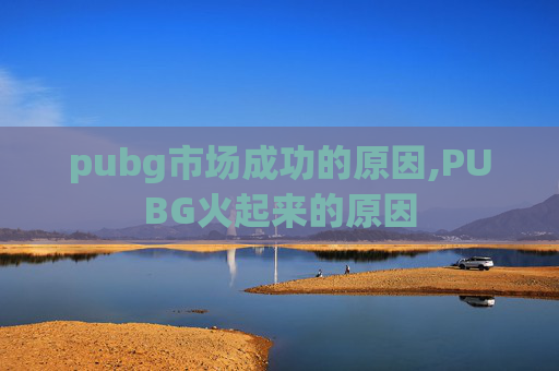 pubg市场成功的原因,PUBG火起来的原因
