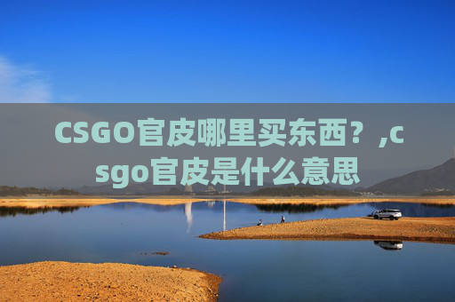 CSGO官皮哪里买东西？,csgo官皮是什么意思