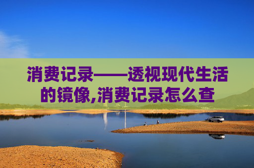 消费记录——透视现代生活的镜像,消费记录怎么查