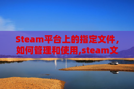 Steam平台上的指定文件，如何管理和使用,steam文件权限在哪里设置的
