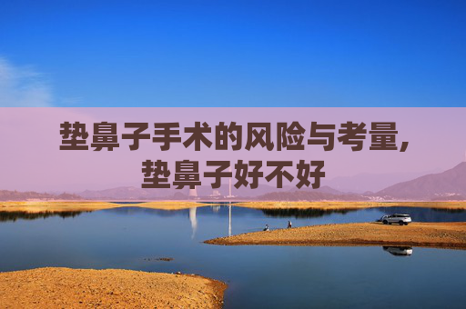 垫鼻子手术的风险与考量,垫鼻子好不好