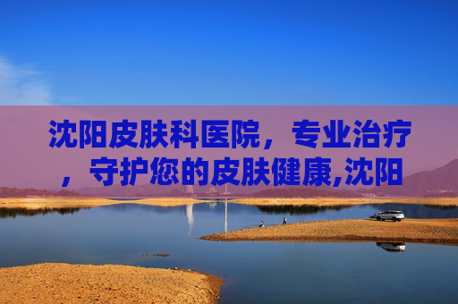 沈阳皮肤科医院，专业治疗，守护您的皮肤健康,沈阳皮肤科医院哪个好