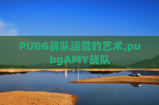 PUBG战队运营的艺术,pubgAMY战队