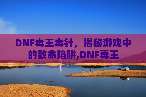 DNF毒王毒针，揭秘游戏中的致命陷阱,DNF毒王