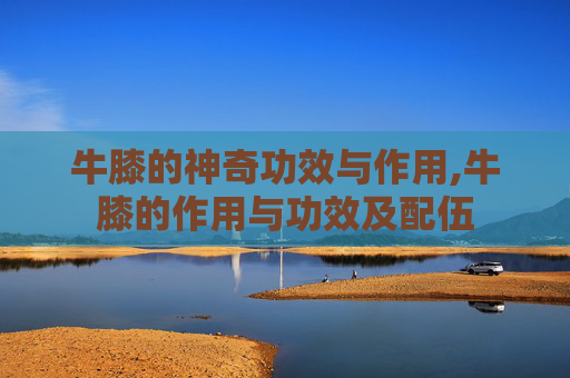 牛膝的神奇功效与作用,牛膝的作用与功效及配伍