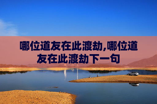 哪位道友在此渡劫,哪位道友在此渡劫下一句